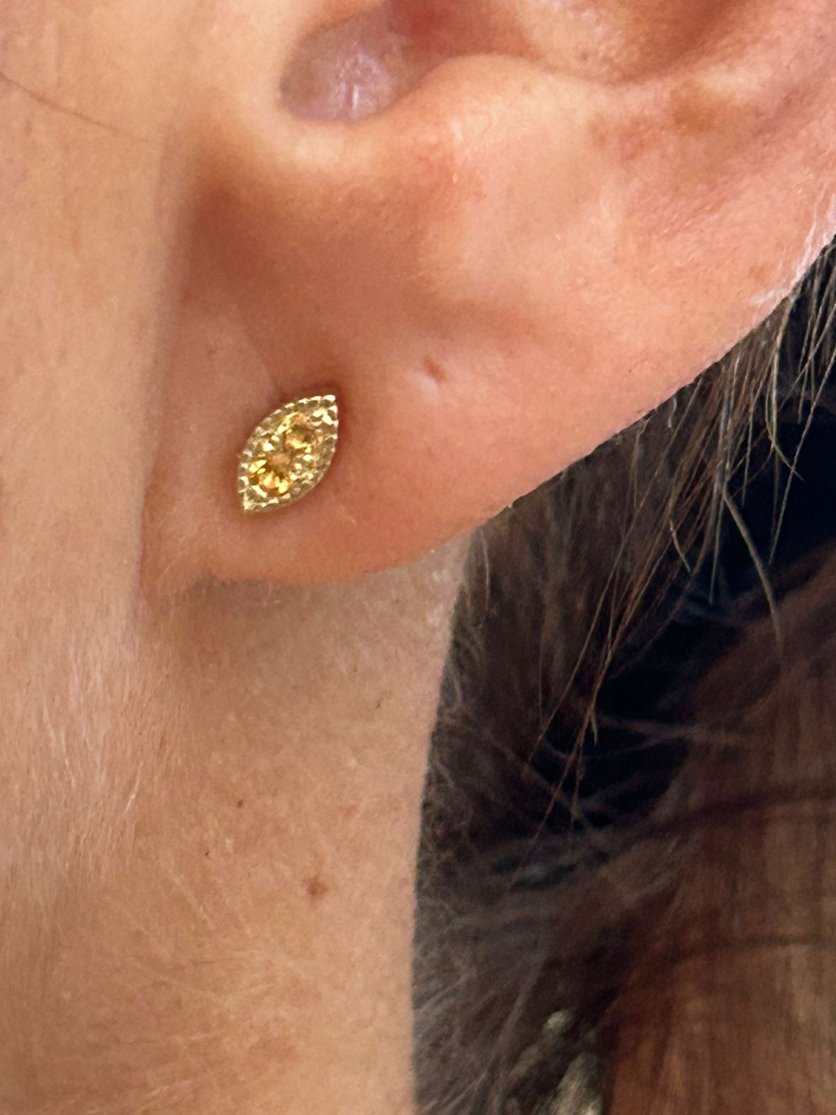 DSG Gemstone Leaf Earring